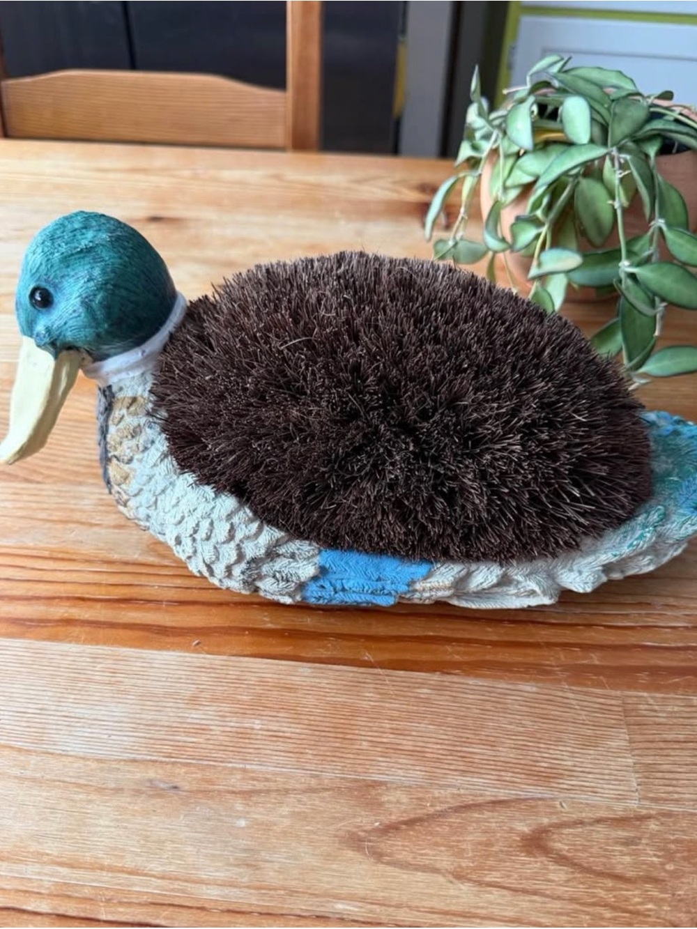 Vintage Duck Shoe Brush